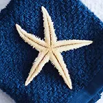 Blue Marina Ξενοδοχείο με διαμερίσματα Γκντανσκ
