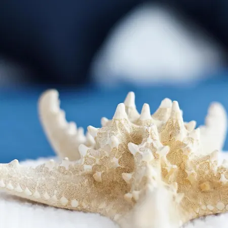 Blue Marina アパートホテル グダニスク