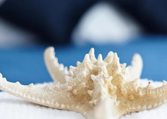 Blue Marina Lägenhetshotell Gdańsk